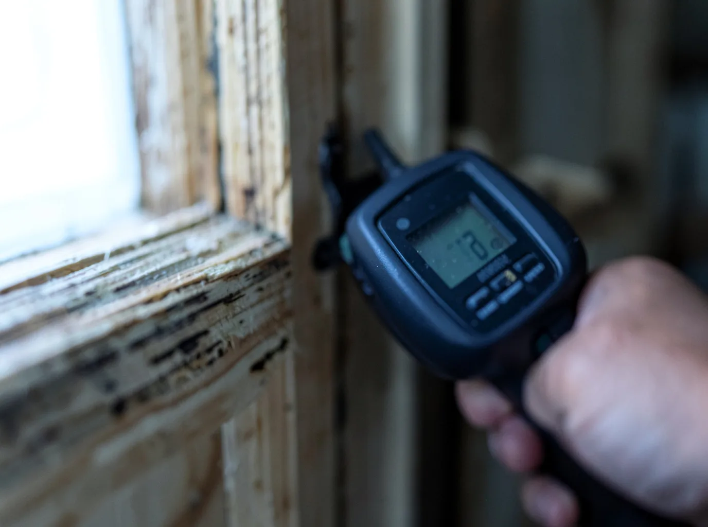 Moisture Inspection And Documentation in Grawn, MI